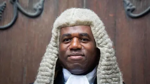 PA David Lammy in a justice wig at his swearing in ceremony as Lord Chancellor 