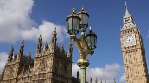 EPA A shot of the Houses of Parliament including the Elizabeth Tower which houses Big Ben 