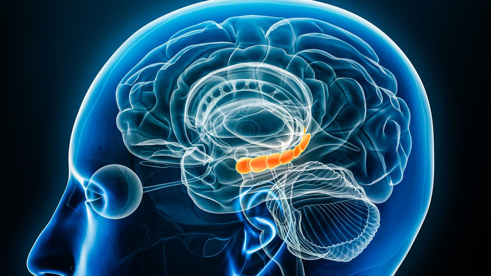 Inactivity Is Bad For Your Brain Health