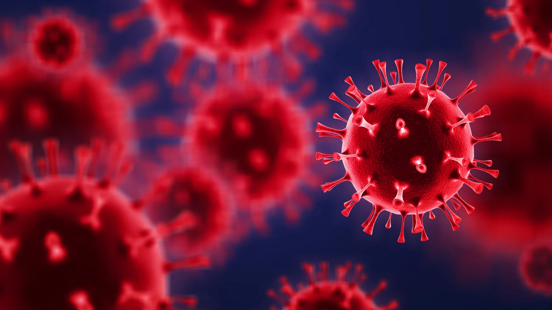 COVID-19 protein triggers immune attacks on healthy cells — but a common drug can stop it