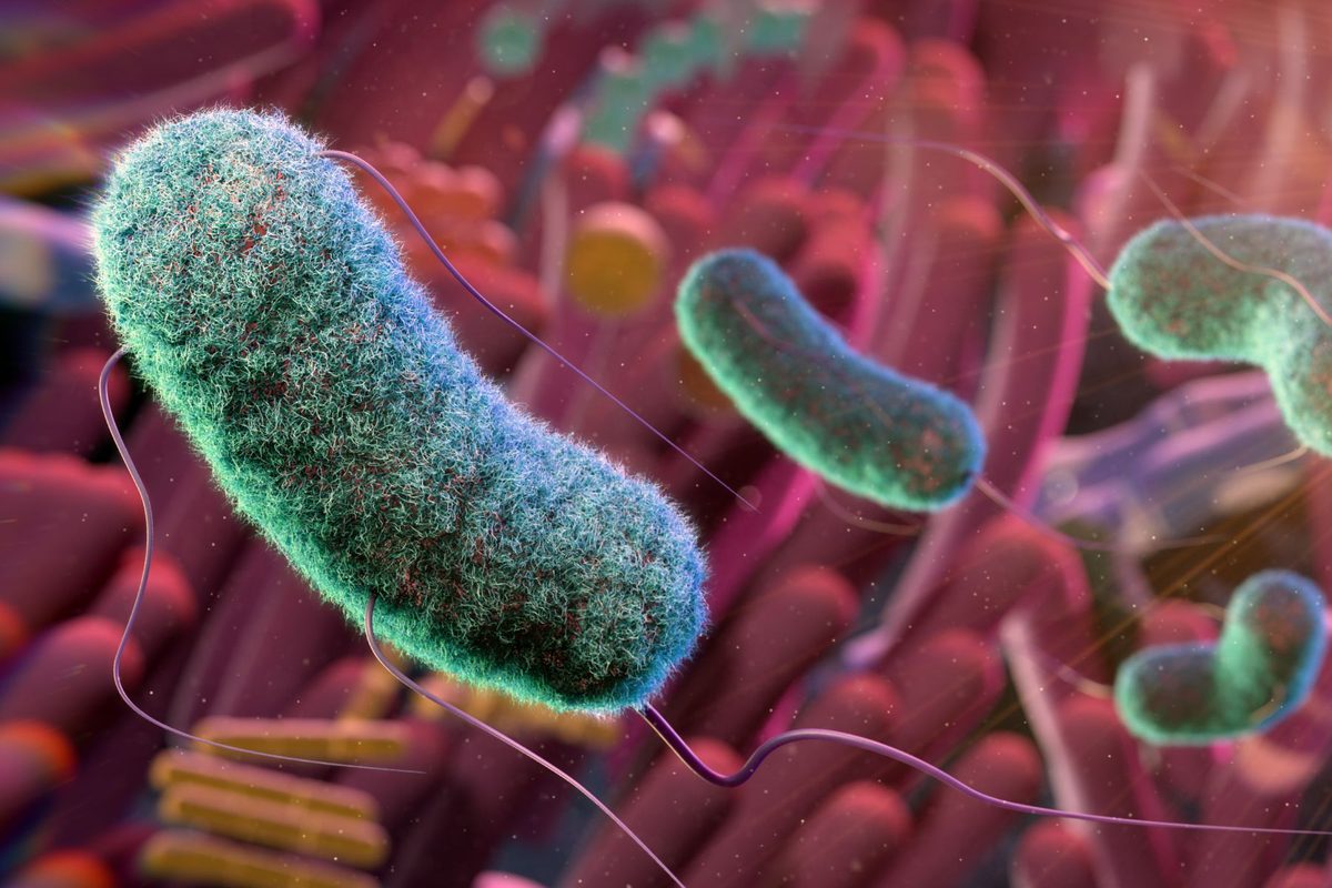 New smart pill could let doctors explore and treat your gut from the inside