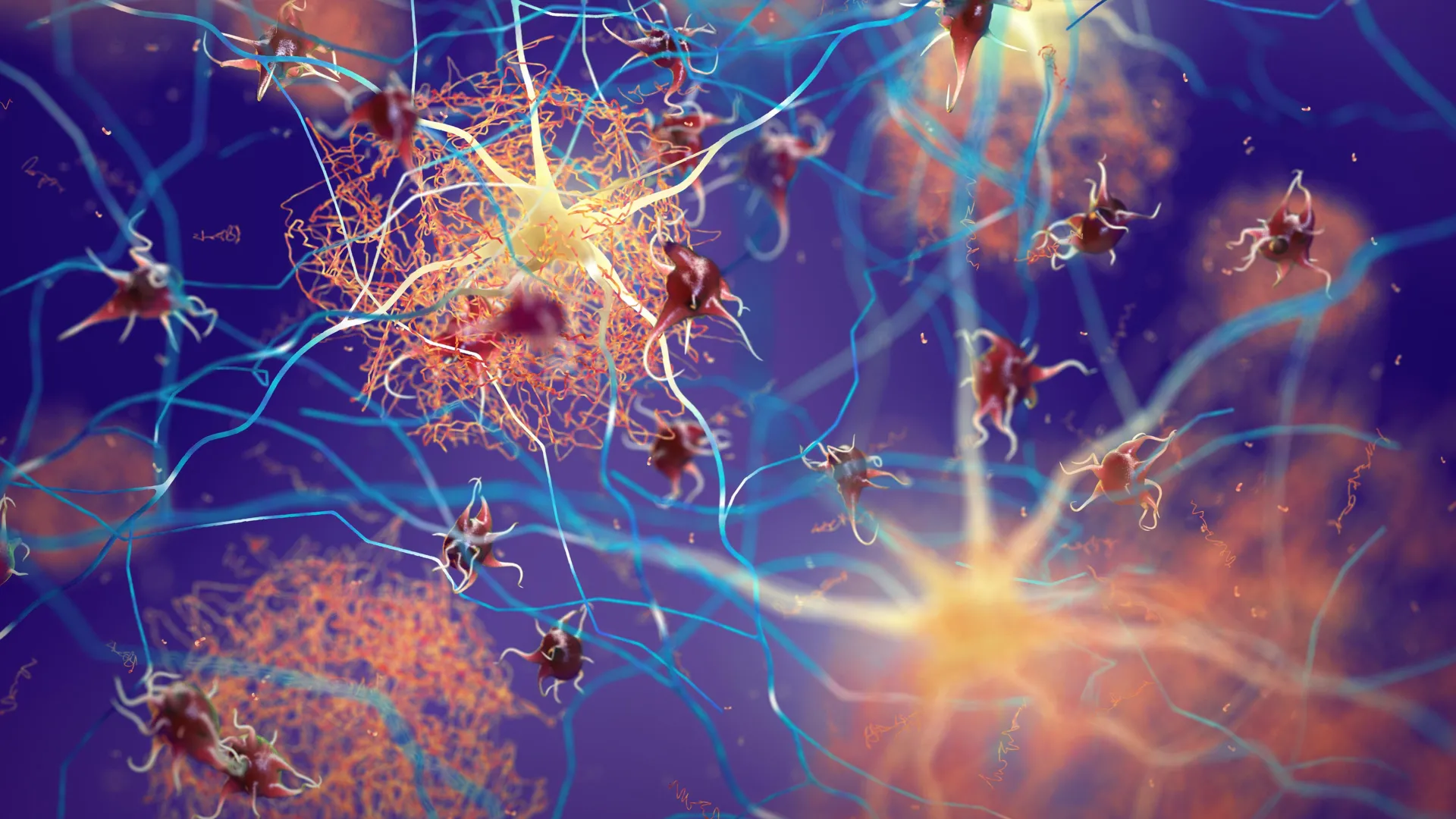 Scientists discover the receptor that helps your brain clean itself—and fight Alzheimer’s