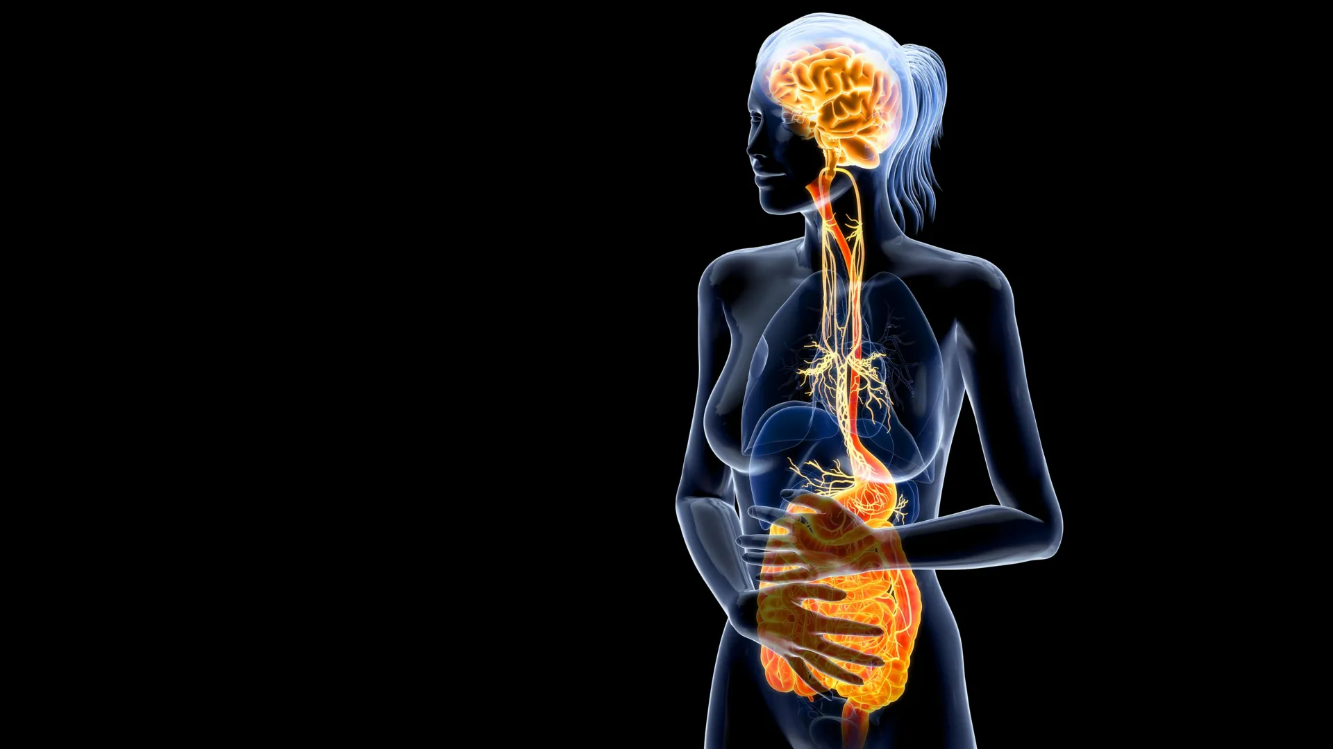 The pandemic’s secret aftershock: Inside the gut-brain breakdown