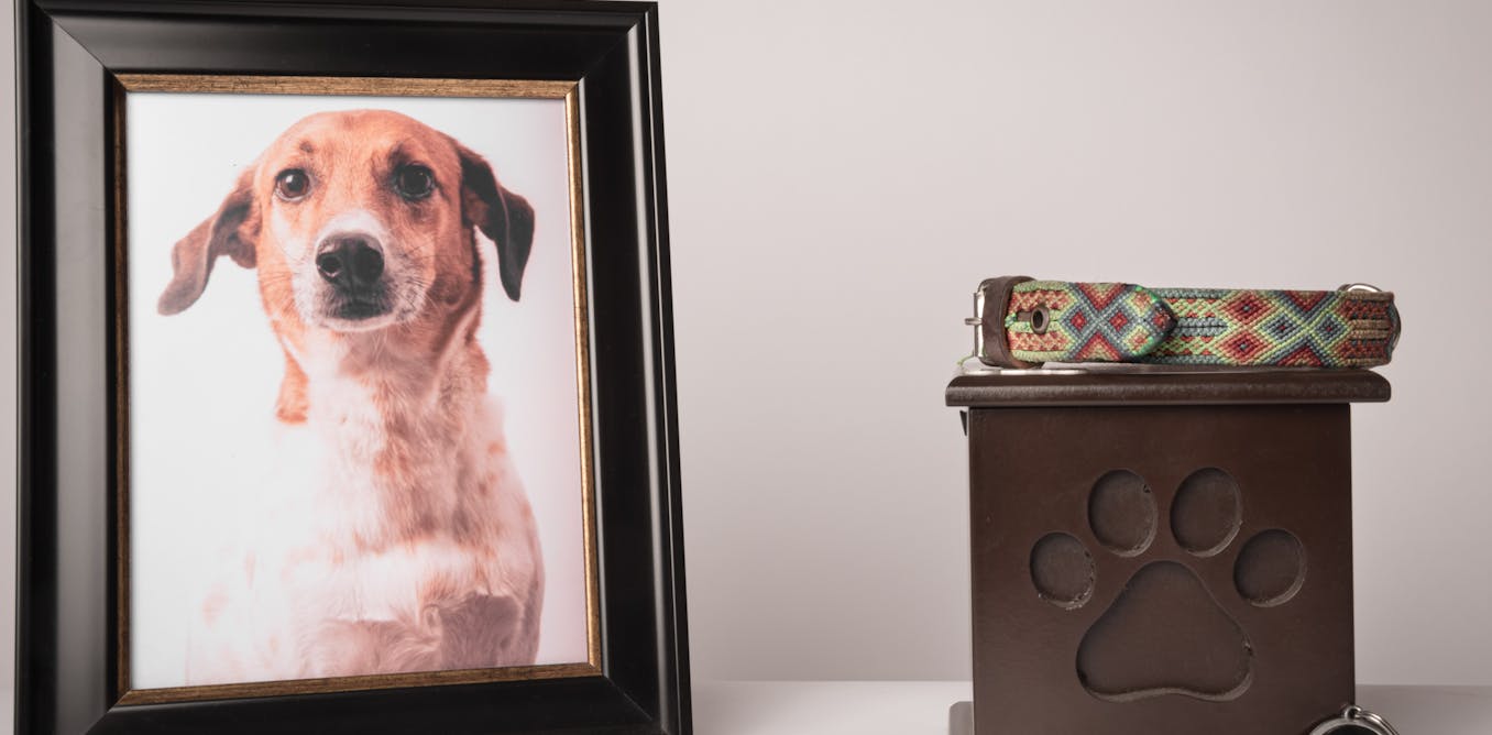 The 3 worst things you can say after a pet dies, and what to say instead