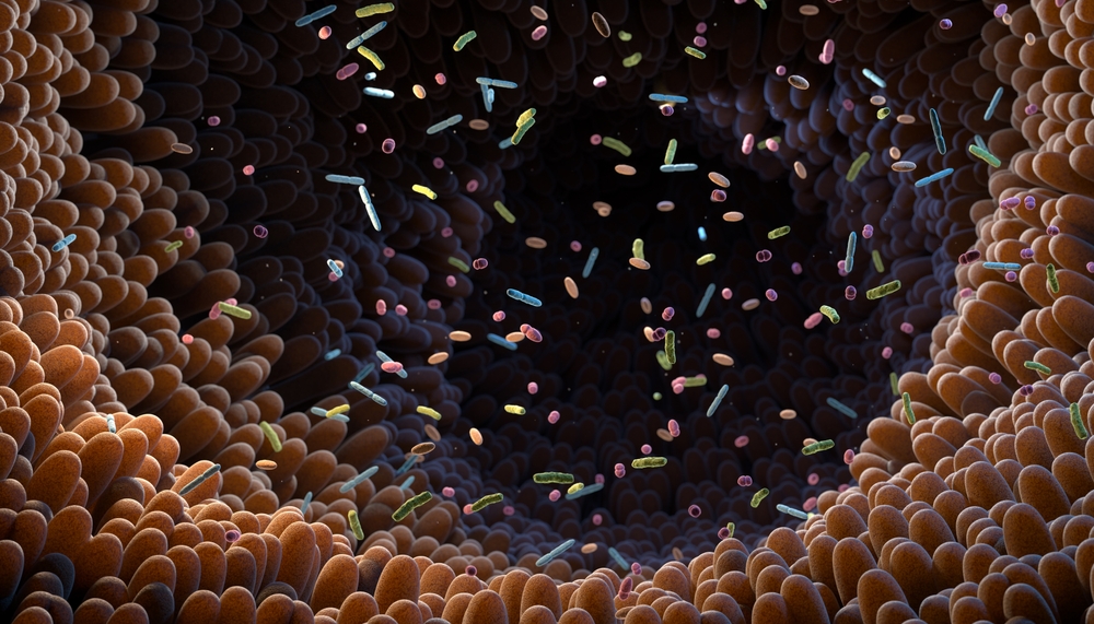 How a Chatty Ancient Protein in Our Gut Could Be Giving Us a Sixth Sense