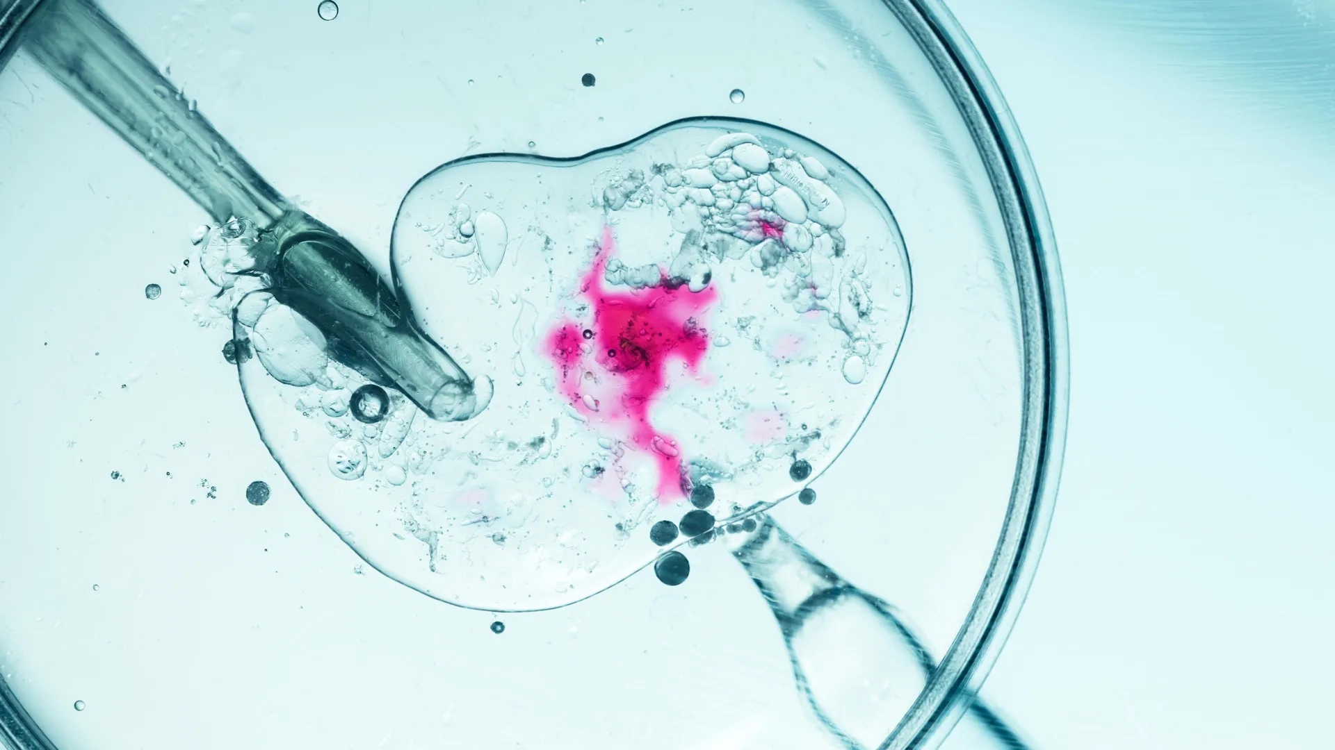 Three-person DNA IVF stops inherited disease—eight healthy babies born in UK first