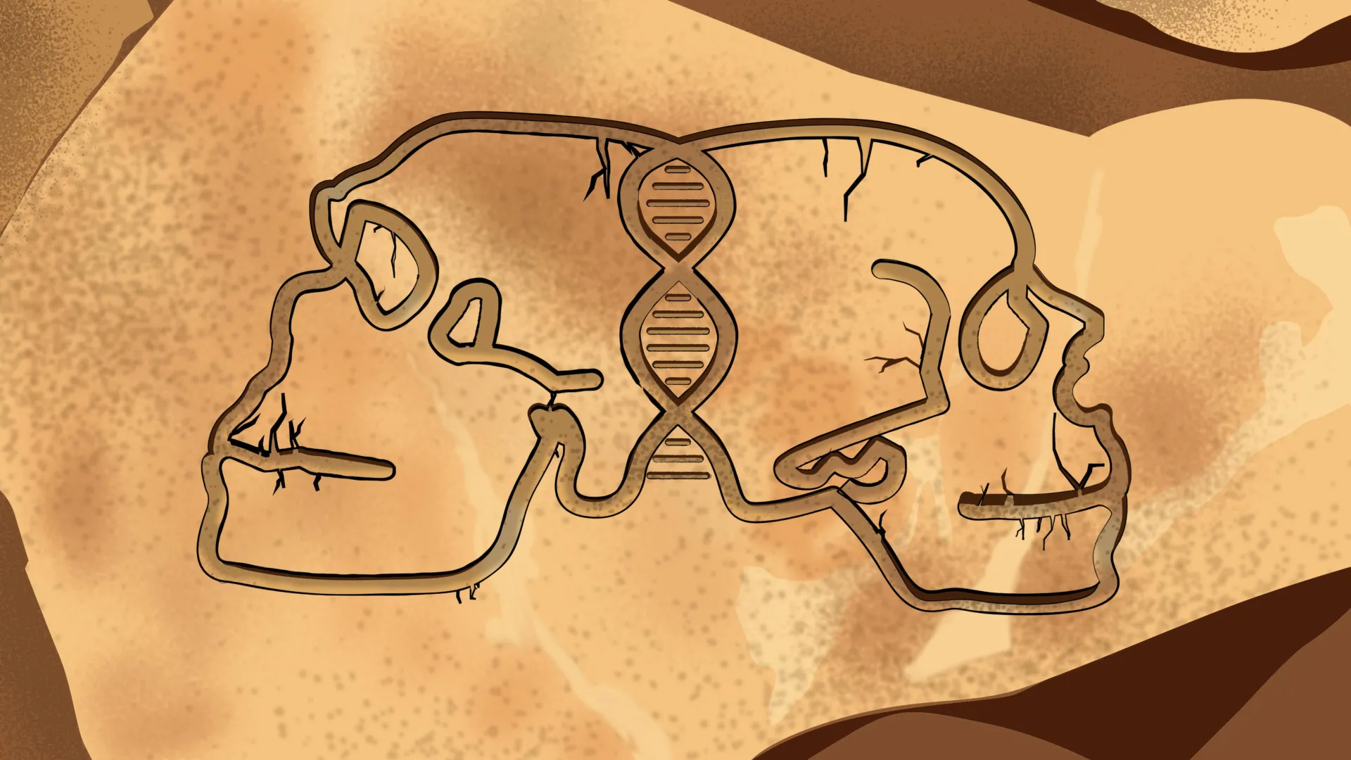 Princeton study maps 200,000 years of Human–Neanderthal interbreeding