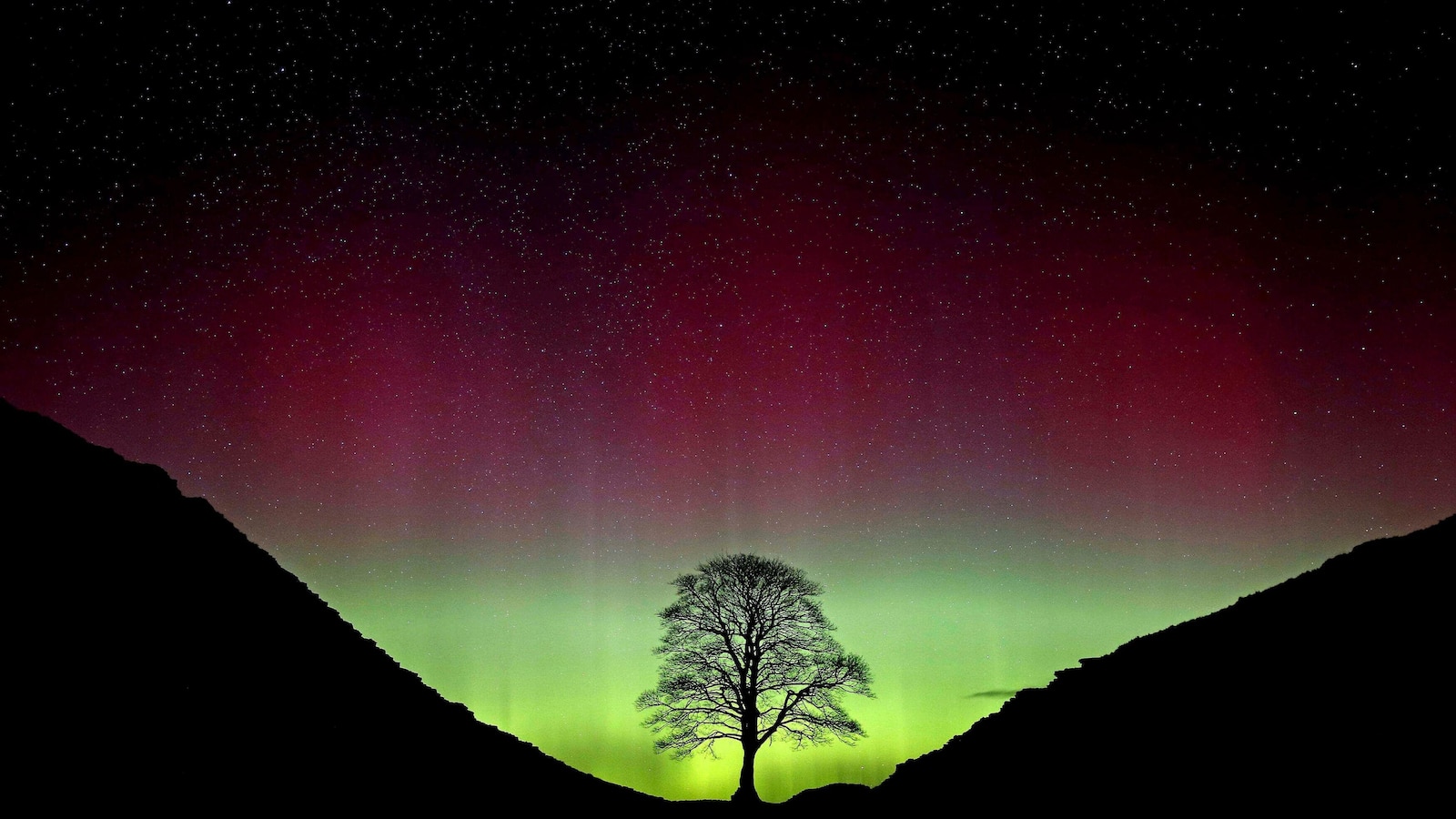Vandals who cut down famous Sycamore Gap tree sentenced to over 4 years in prison