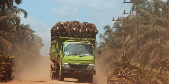 Government Sees Bright Future for Indonesian Palm Oil in Europe