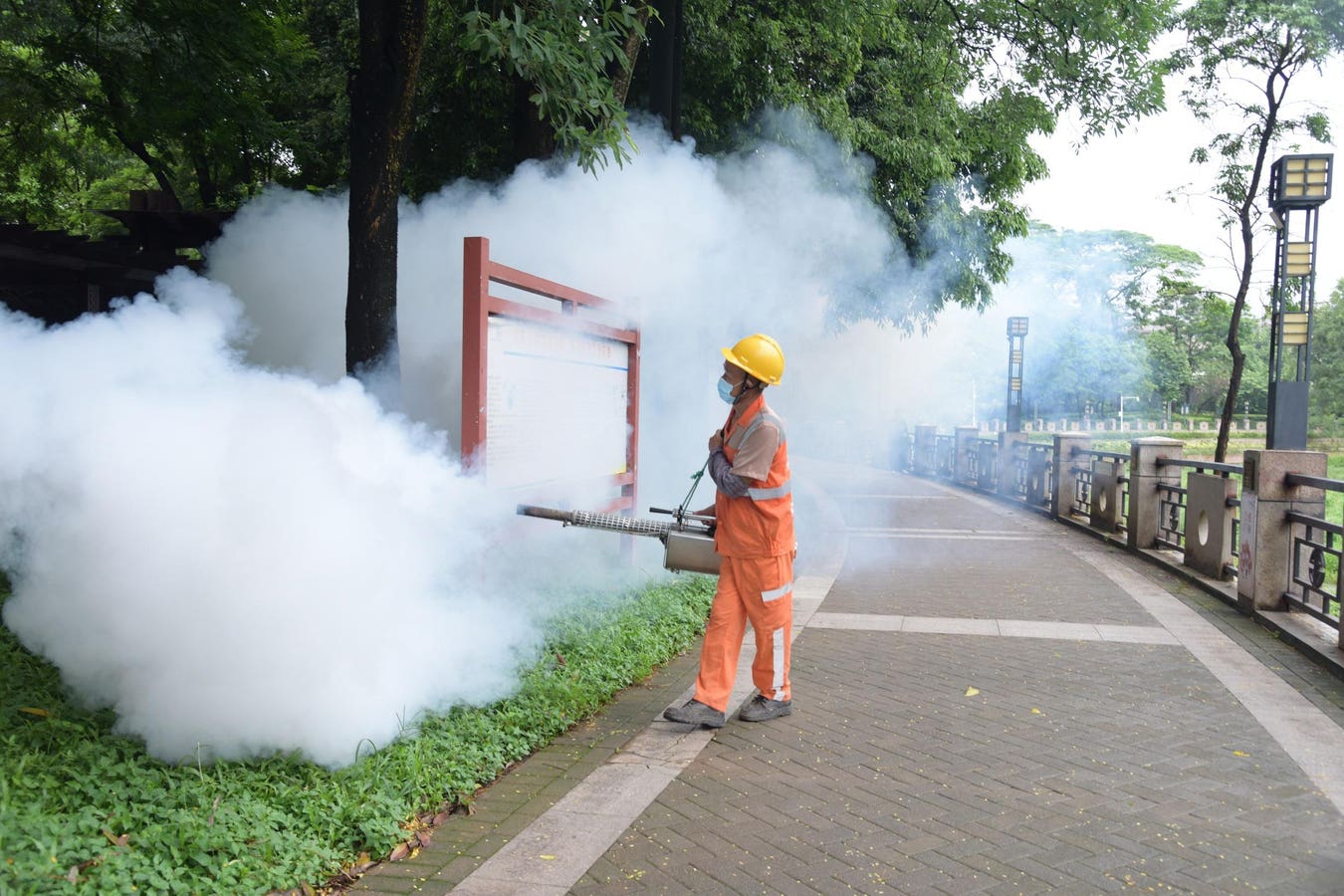 What Is The Chikungunya Virus? What To Know About Outbreak In China.