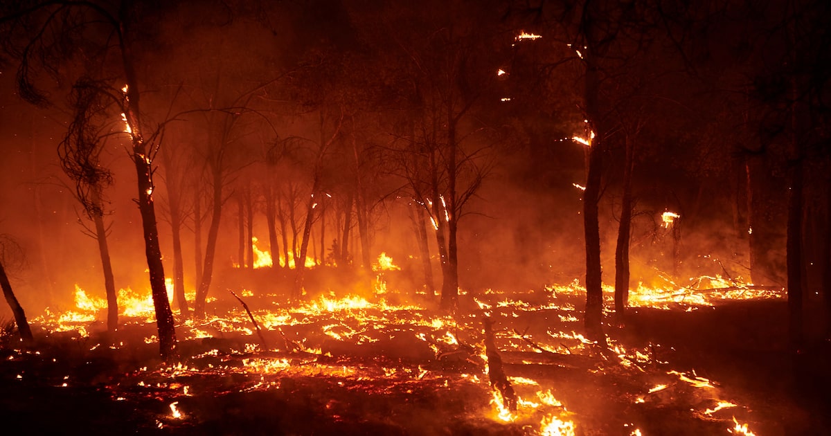 Wildfires kill at least 3 and displace thousands across southern Europe