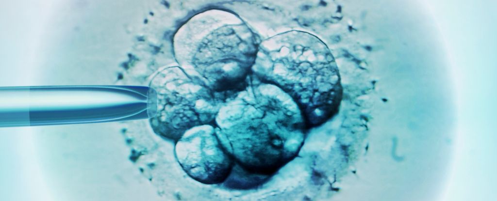 ‘World’s Oldest Baby’ Born From 30-Year-Old Frozen Embryo : ScienceAlert