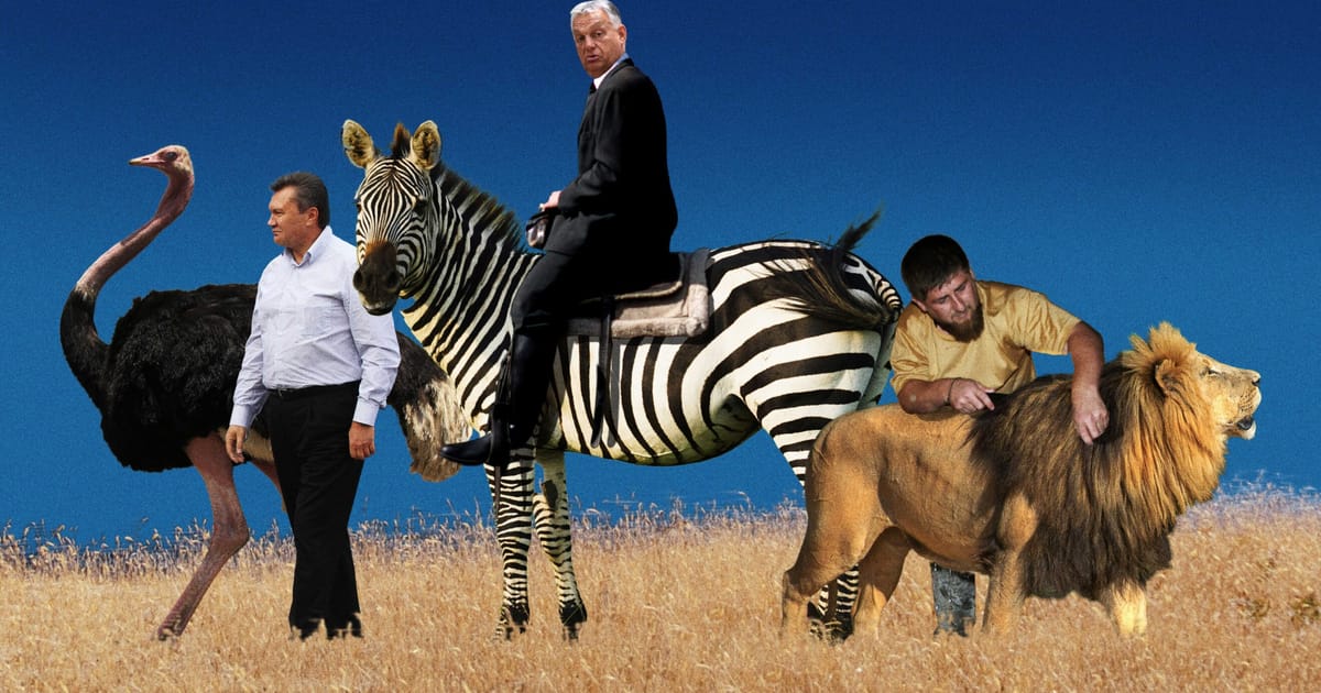 The wild world of political animals  – POLITICO