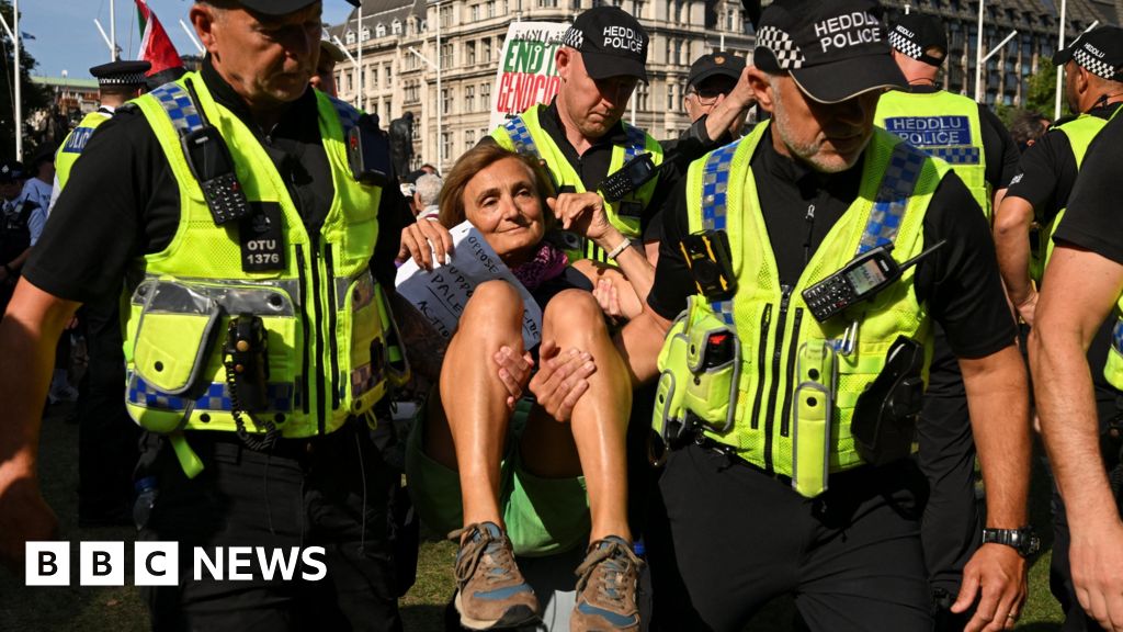 After mass arrests, what happens next with Palestine Action ban?