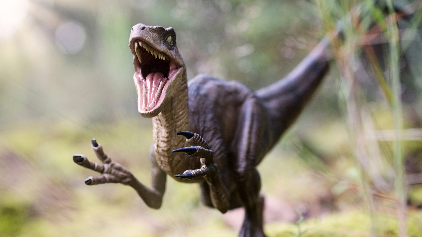 This New Dinosaur Had An Even Stronger Bite Than The Velociraptor