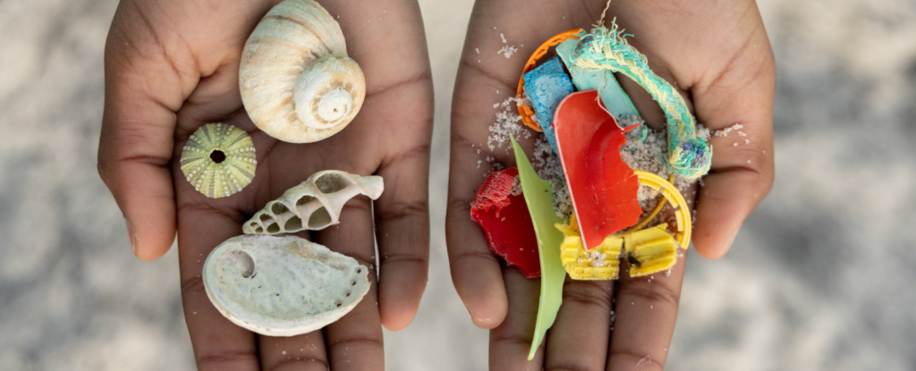 Plastic’s Impact on Health Costs $1.5 Trillion Every Year, Report Warns : ScienceAlert