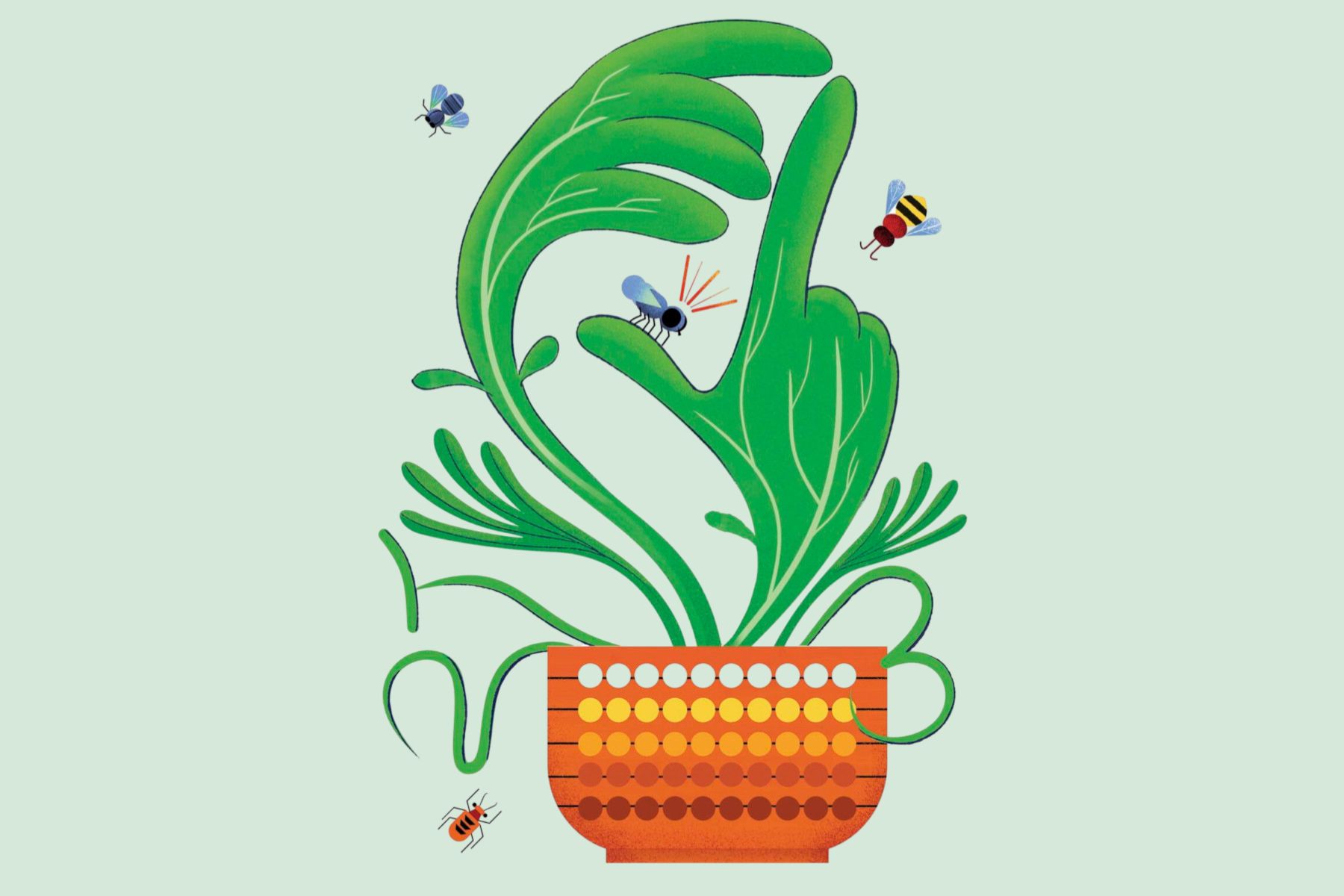 These plants have a surprising talent for maths