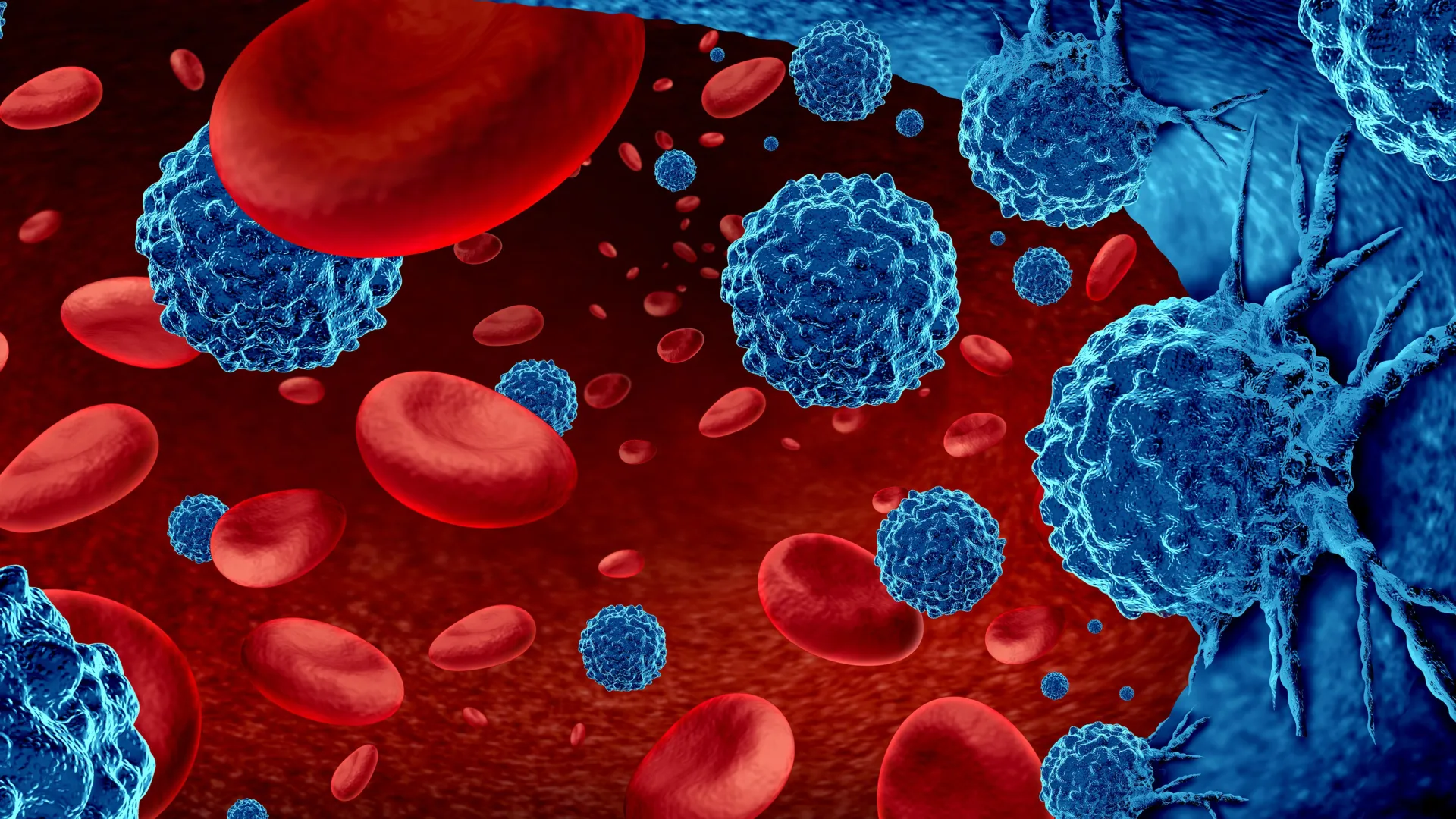Blocked blood flow makes cancer grow faster