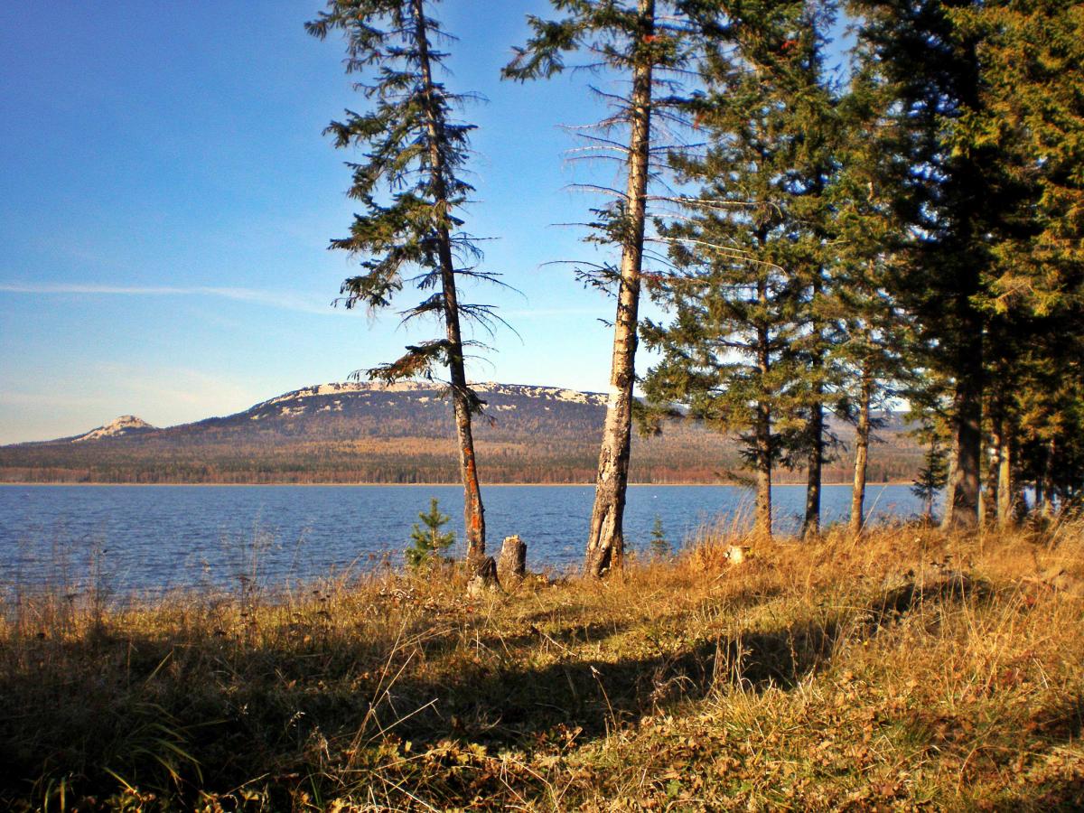 Tragic Mystery Deepens in Krasnoyarsk Taiga as Family Disappears Near Forbidden Slopes