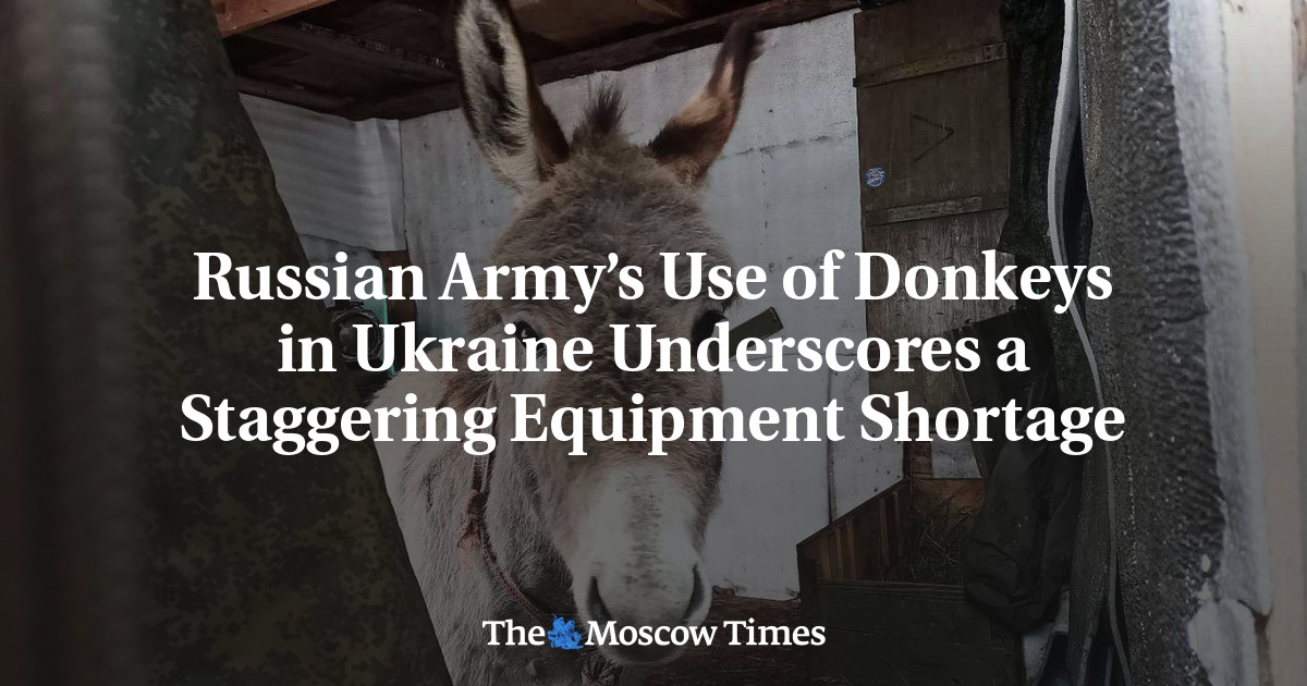 Russian Army’s Use of Donkeys in Ukraine Underscores a Staggering Equipment Shortage