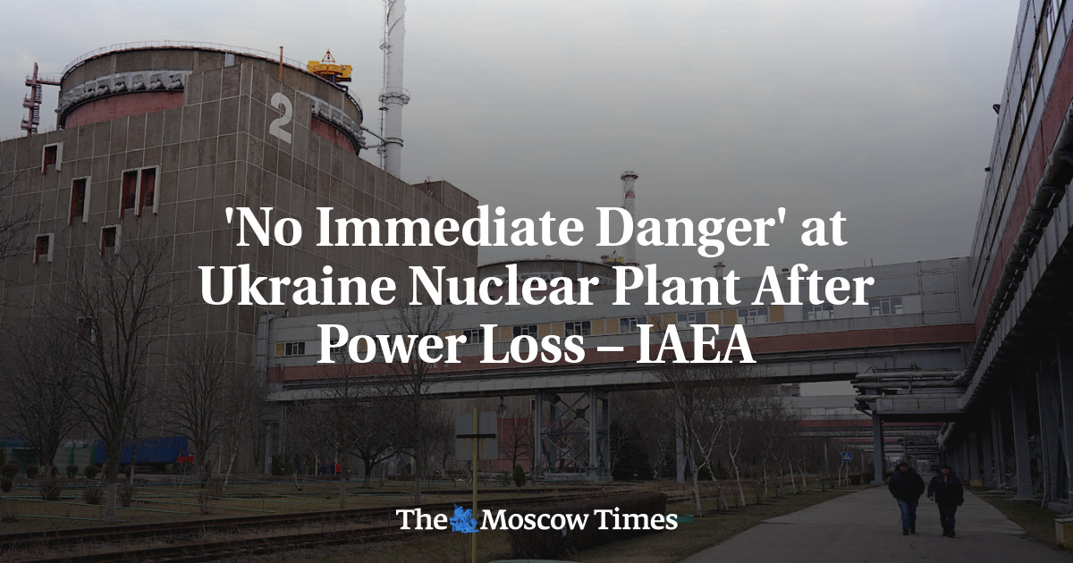 ‘No Immediate Danger’ at Ukraine Nuclear Plant After Power Loss – IAEA