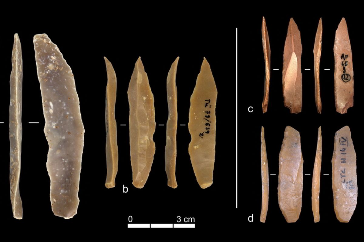 Humans in Europe Might’ve Taken Toolmaking Inspiration From Neanderthals