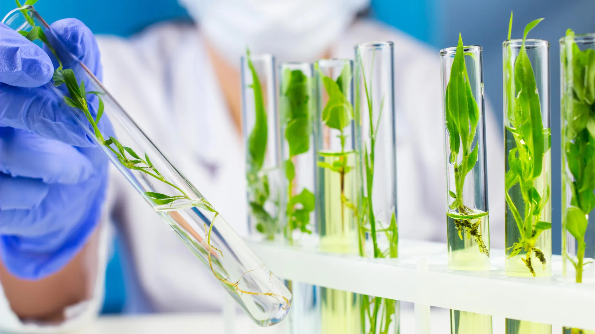 Scientists unlock nature’s secret to a cancer-fighting molecule