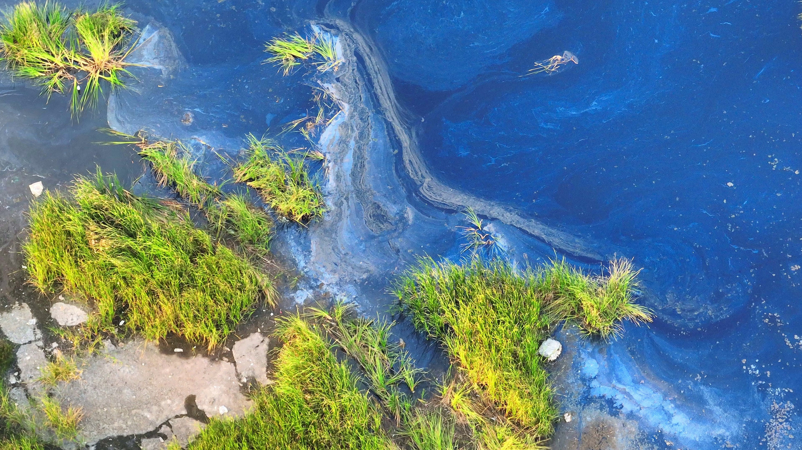 NASA’s ISS Satellite Imagery Helped Identify A Huge Sewage Spill