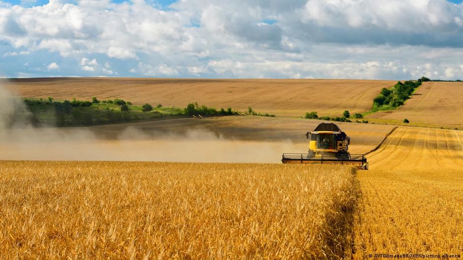 EU agrees to relax regulations around gene-edited crops – DW – 12/04/2025