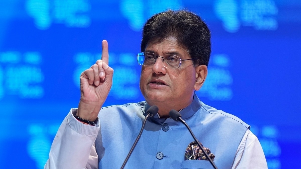 India–Russia trade: Piyush Goyal pushes for balanced trade ties ahead of Putin’s high stakes visit