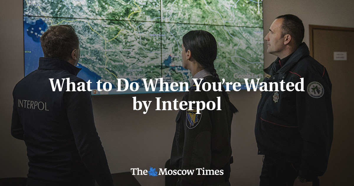 What to Do When You’re Wanted by Interpol