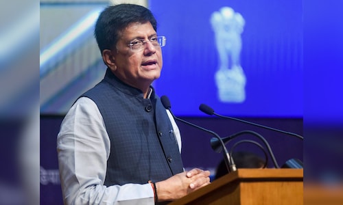 Piyush Goyal: India-Russia trade is very skewed, needs to be balanced