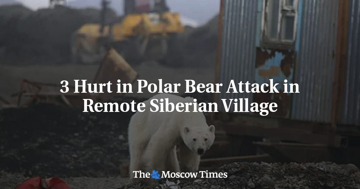 3 Hurt in Polar Bear Attack in Remote Siberian Village