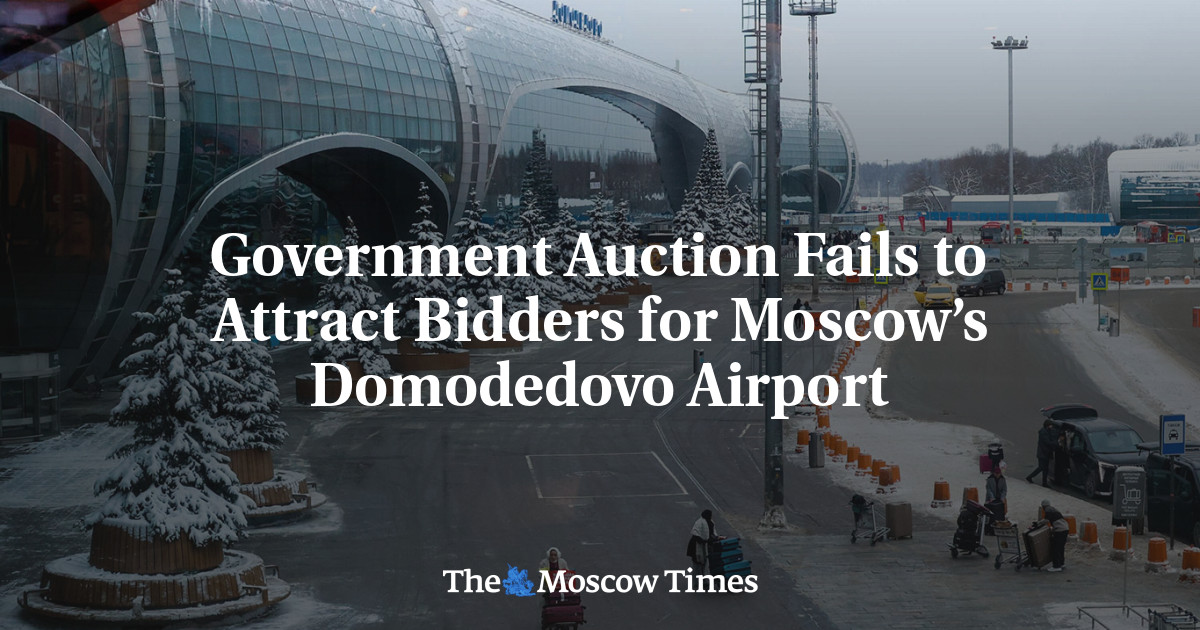 Government Auction Fails to Attract Bidders for Moscow’s Domodedovo Airport