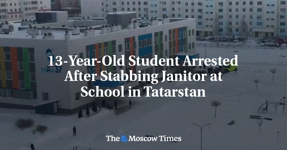 13-Year-Old Student Arrested After Stabbing Janitor at School in Tatarstan