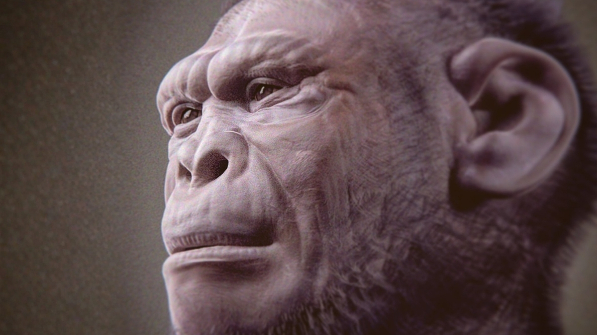 2-Million-Year-Old Fossil May Be The Oldest Example of an Early Human : ScienceAlert