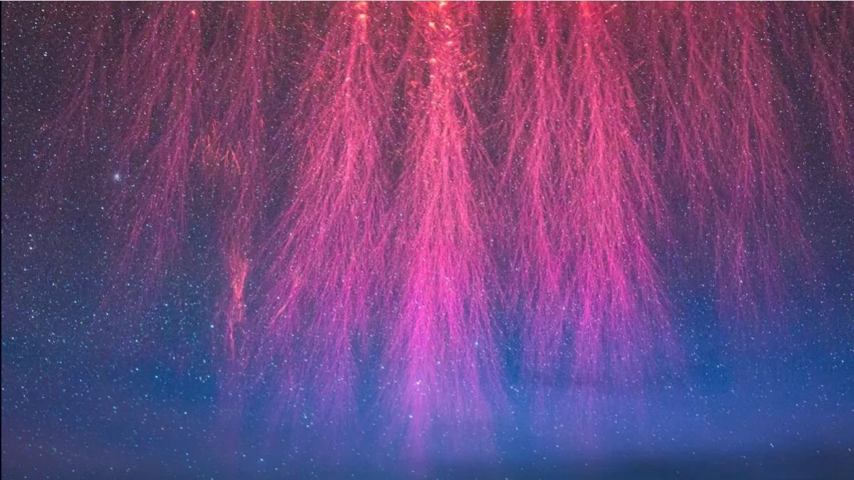 Lightning Comes in Many Strange Forms. Here’s The Science. : ScienceAlert