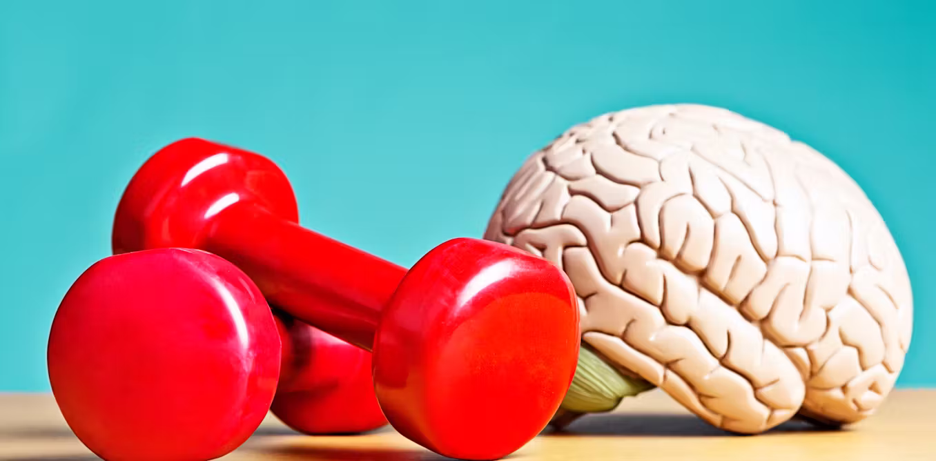 Your brain can be trained, much like your muscles – a neurologist explains how to boost your brain health
