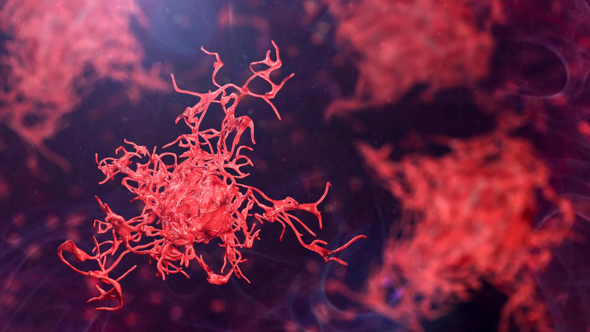 Scientists call for urgent action as dangerous amoebas spread globally