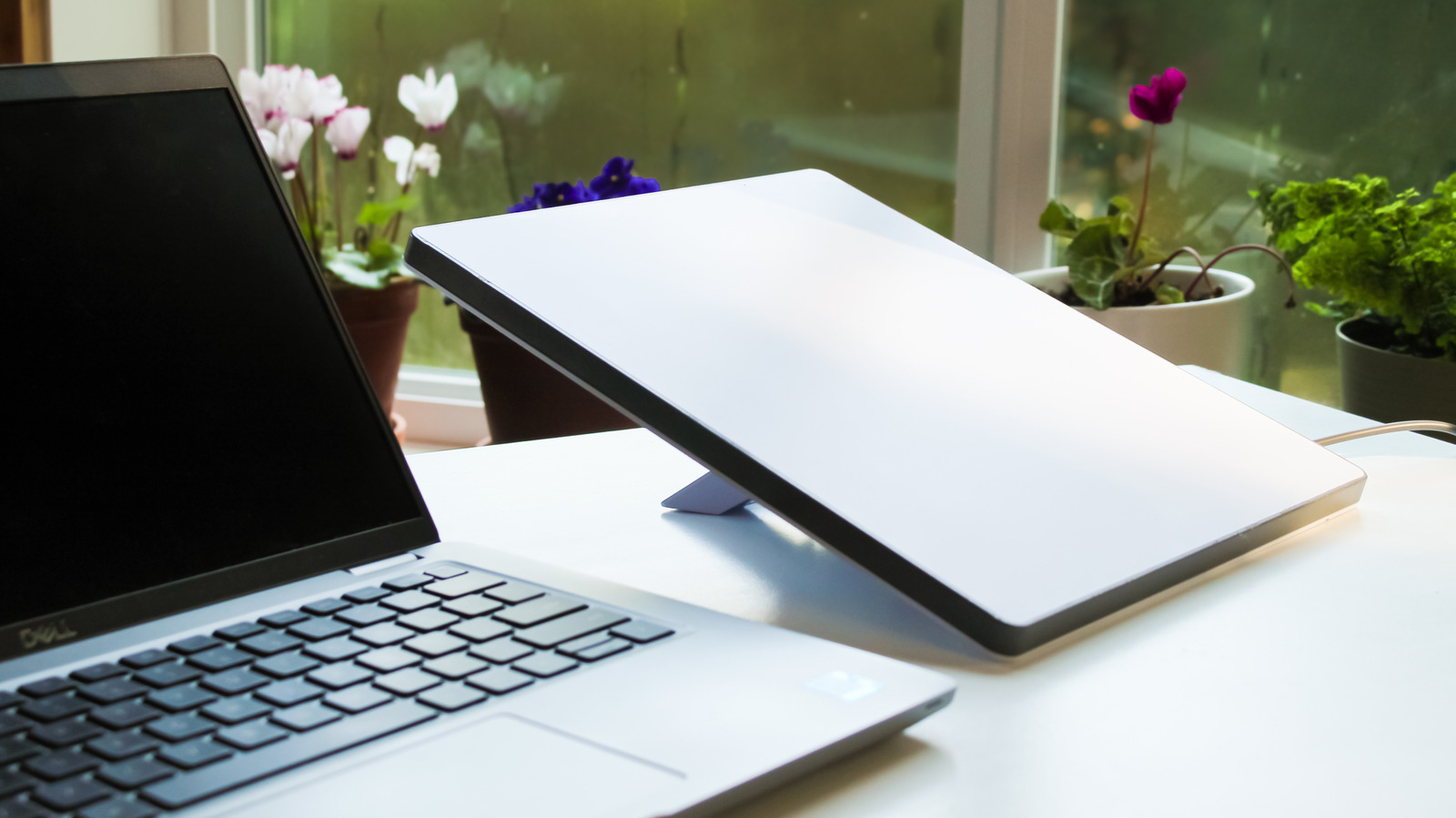 Is Starlink Actually Reliable? Here’s What Users Say