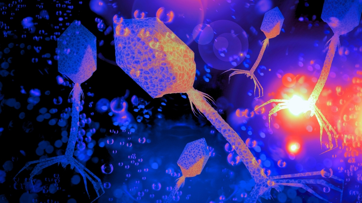 Viruses Play a Critical Role in The Ocean’s Food Web, Study Finds : ScienceAlert