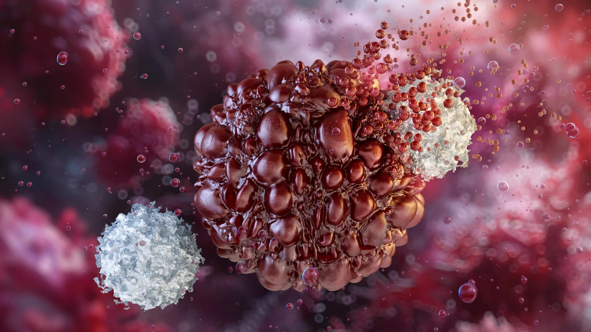 One stem cell generates 14 million tumor-killing NK cells in major cancer breakthrough