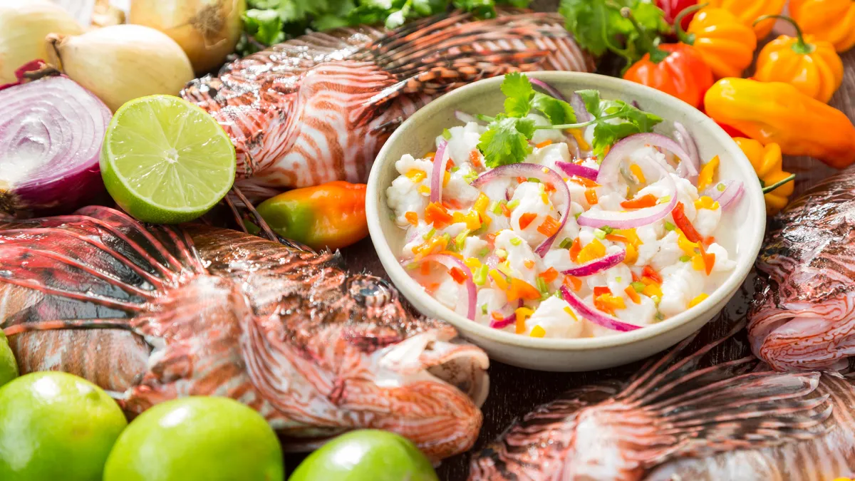 Should you eat invasive species? We asked an ecologist.