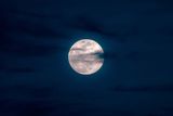 February’s 2026 Snow Moon Will Light Up the Night as Winter Rages On