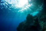 Hidden Underwater Volcanoes May Explain Half of Earth’s Triassic Extinctions