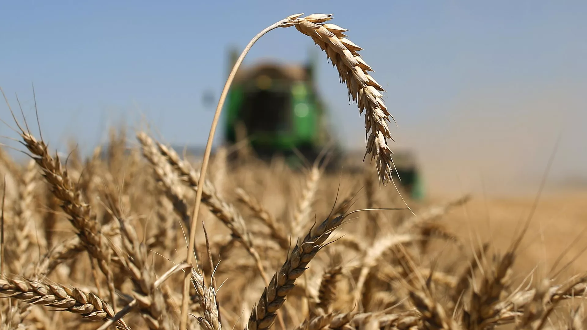Brazil has purchased Russian wheat for the first time since 2024