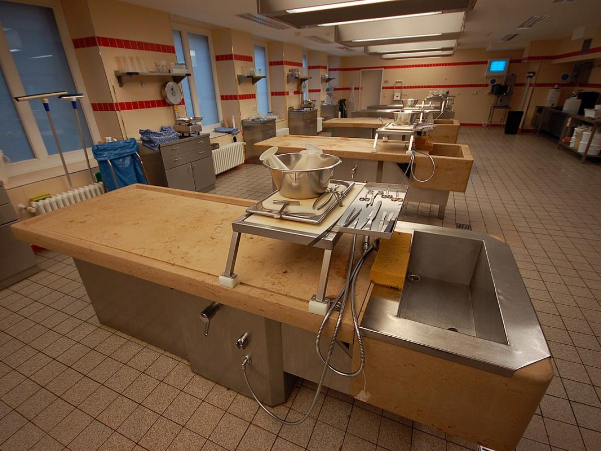 St. Petersburg Morgue Scandal Exposes Illegal Sale of Unclaimed Bodies