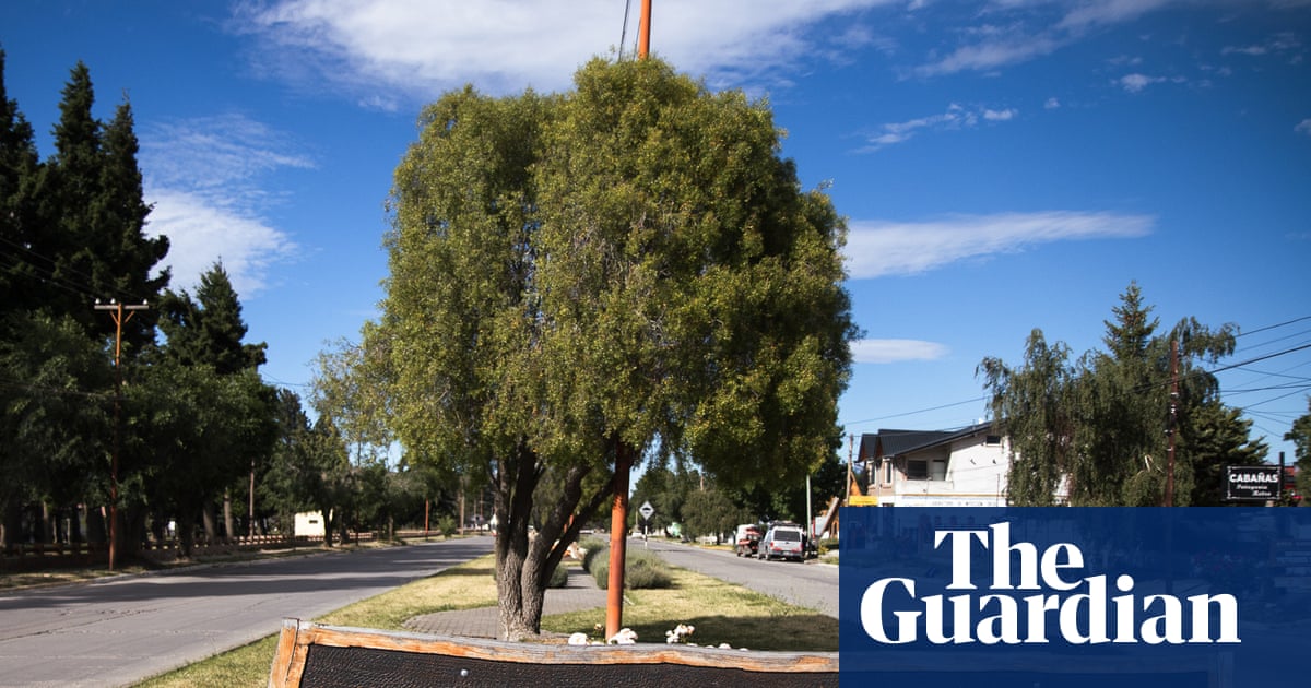 ‘We’re being turned into an energy colony’: Argentina’s nuclear plan faces backlash over US interests | Mining
