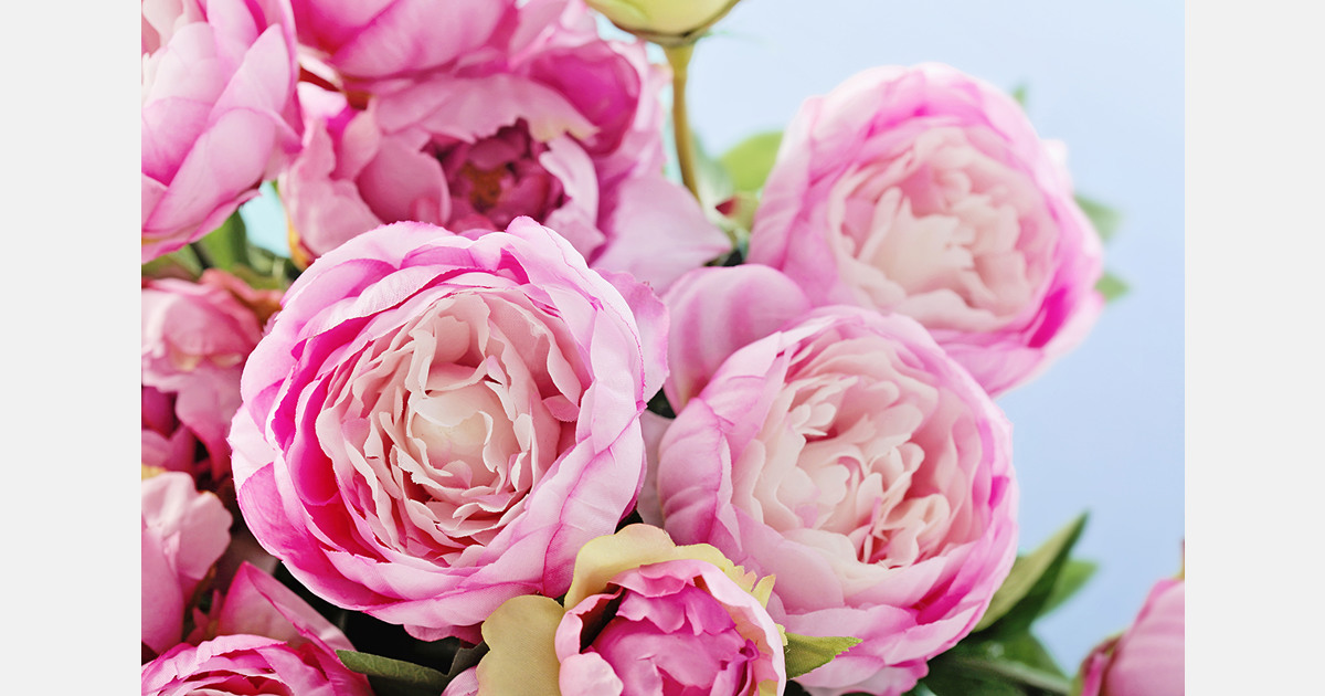 Over three-quarters of flowers sold in Russia remain imported despite higher duties