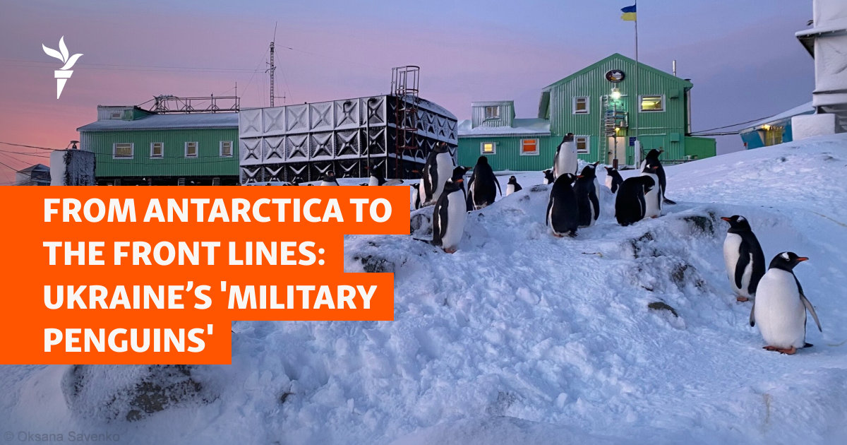 From Antarctica To The Front Lines: Ukraine’s ‘Military Penguins’